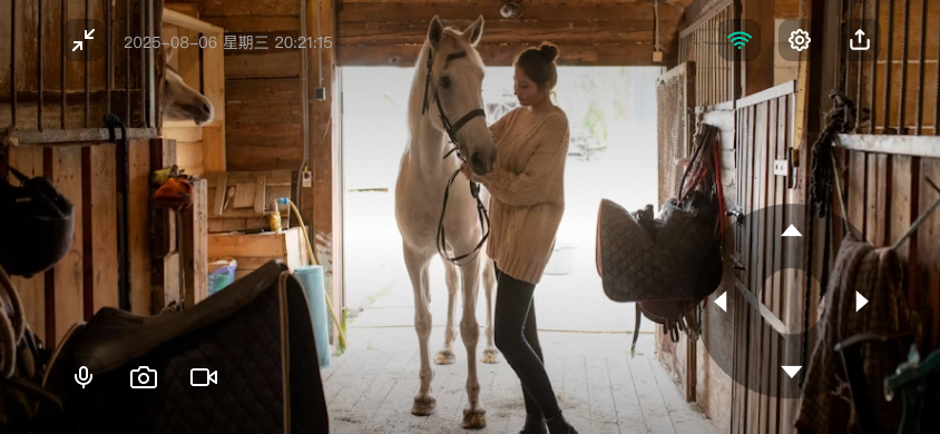 AI horse monitoring app full-screen live video