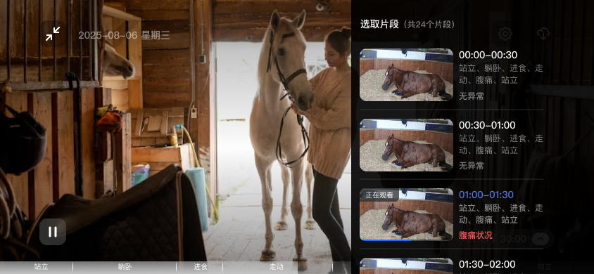AI horse behavior event review screen
