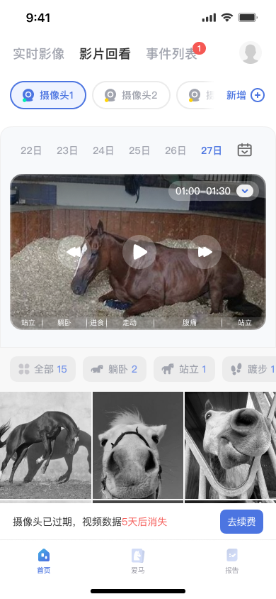 AI horse monitoring app video playback screen